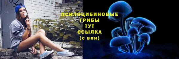 jwh Бородино