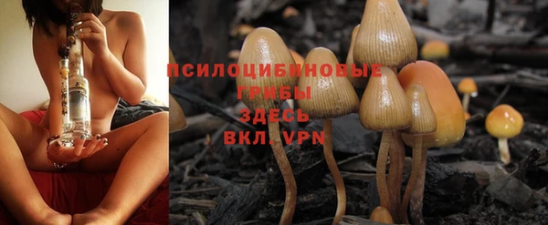 соль ск Верхний Тагил