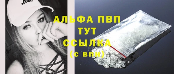 Альфа ПВП Верея