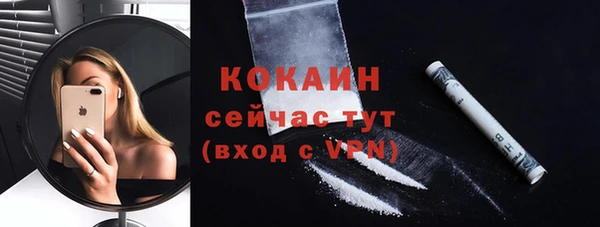 Альфа ПВП Верея