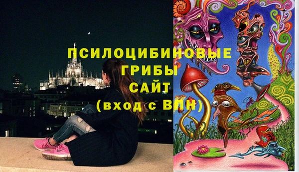 jwh Бородино