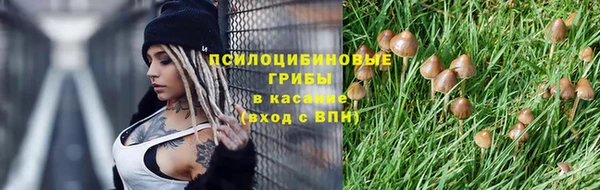 Альфа ПВП Верея