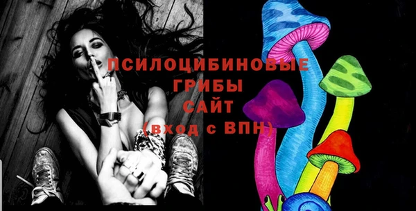 соль ск Бугульма