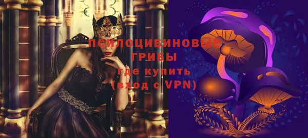 Альфа ПВП Верея