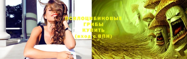 соль ск Верхний Тагил