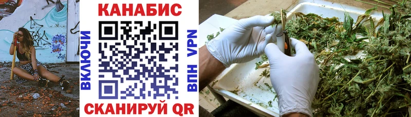 где найти   Егорьевск  блэк спрут онион  Каннабис SATIVA & INDICA 